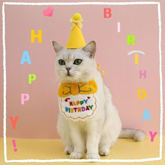 2/$20 Brand new pet happy birthday costume - Picture 1 of 5